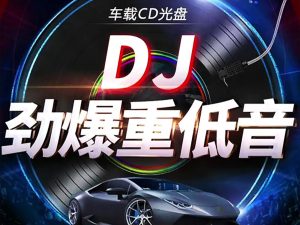 必听!1000首高品质车载DJ,解锁超燃出行新体验!|一站式知识服务平台|多样资源|热门项目|详尽教程|学习交流|成功之门|HY资源库