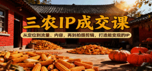 三农IP成交课:从定位到流量、内容,再到拍摄剪辑,打造能变现的IP|一站式知识服务平台|多样资源|热门项目|详尽教程|学习交流|成功之门|HY资源库