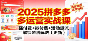 2025拼多多运营实战课:强付费+微付费+活动爆流,解锁盈利玩法(更新)|一站式知识服务平台|多样资源|热门项目|详尽教程|学习交流|成功之门|HY资源库
